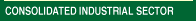 CONSOLODATED INDUSTRIAL SECTOR